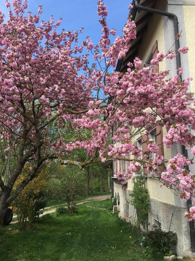 Ferienhof Weber Nieratz Wangen im Allgäu Exteriér fotografie