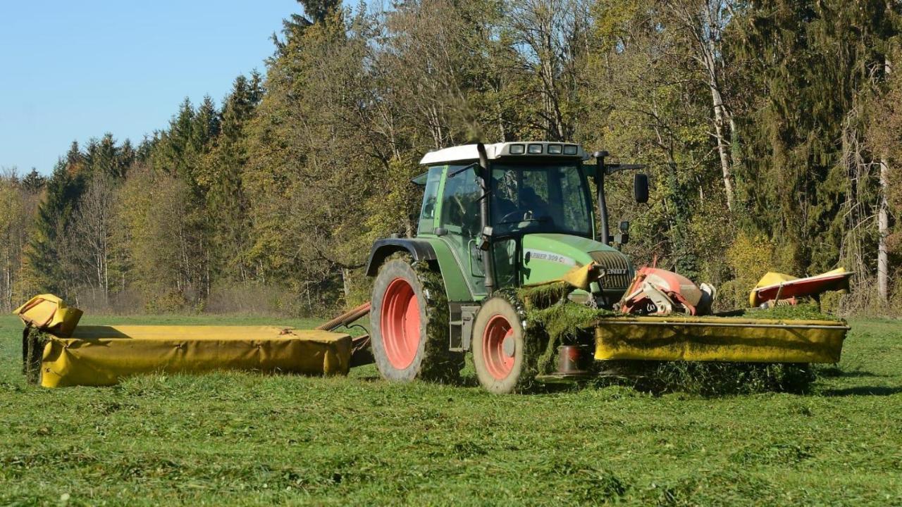 Ferienhof Weber Nieratz Wangen im Allgäu Exteriér fotografie