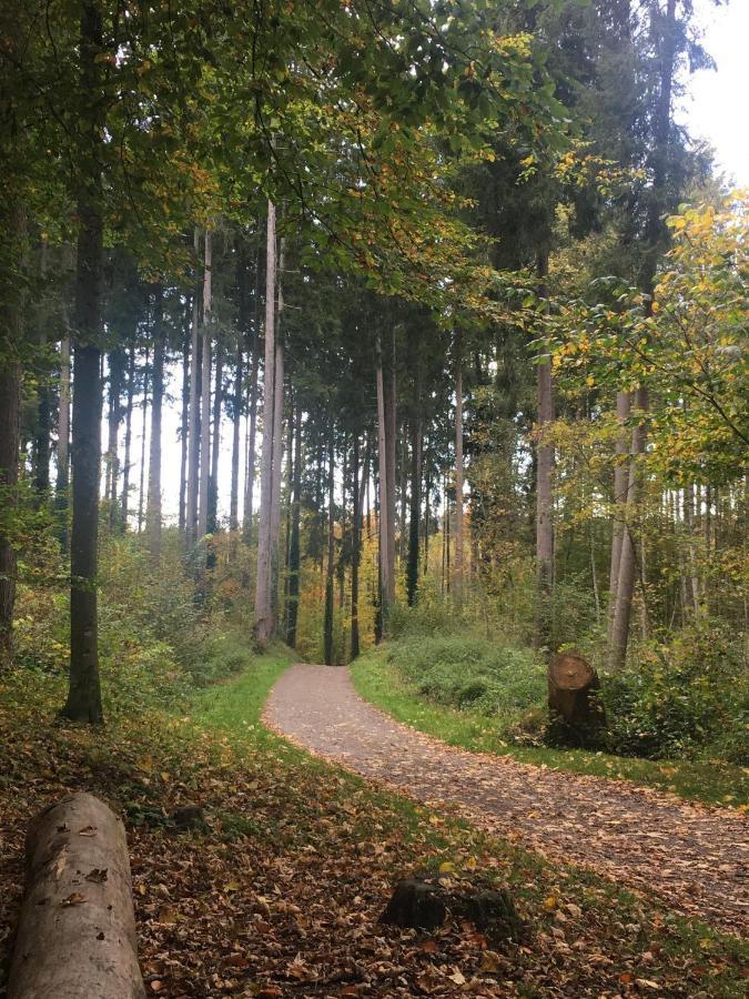 Ferienhof Weber Nieratz Wangen im Allgäu Exteriér fotografie