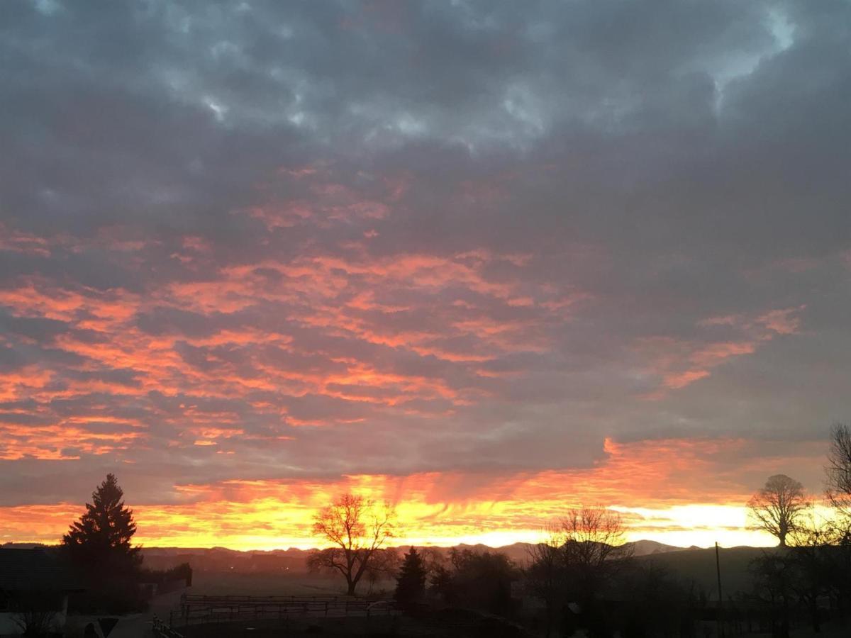 Ferienhof Weber Nieratz Wangen im Allgäu Exteriér fotografie
