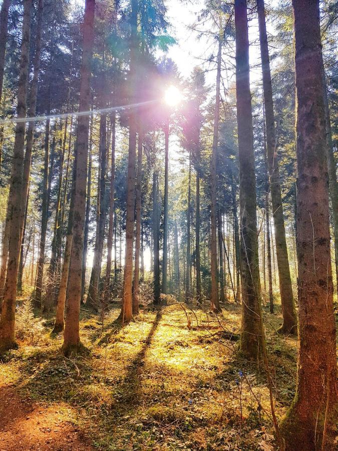 Ferienhof Weber Nieratz Wangen im Allgäu Exteriér fotografie