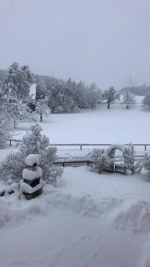 Ferienhof Weber Nieratz Wangen im Allgäu Exteriér fotografie