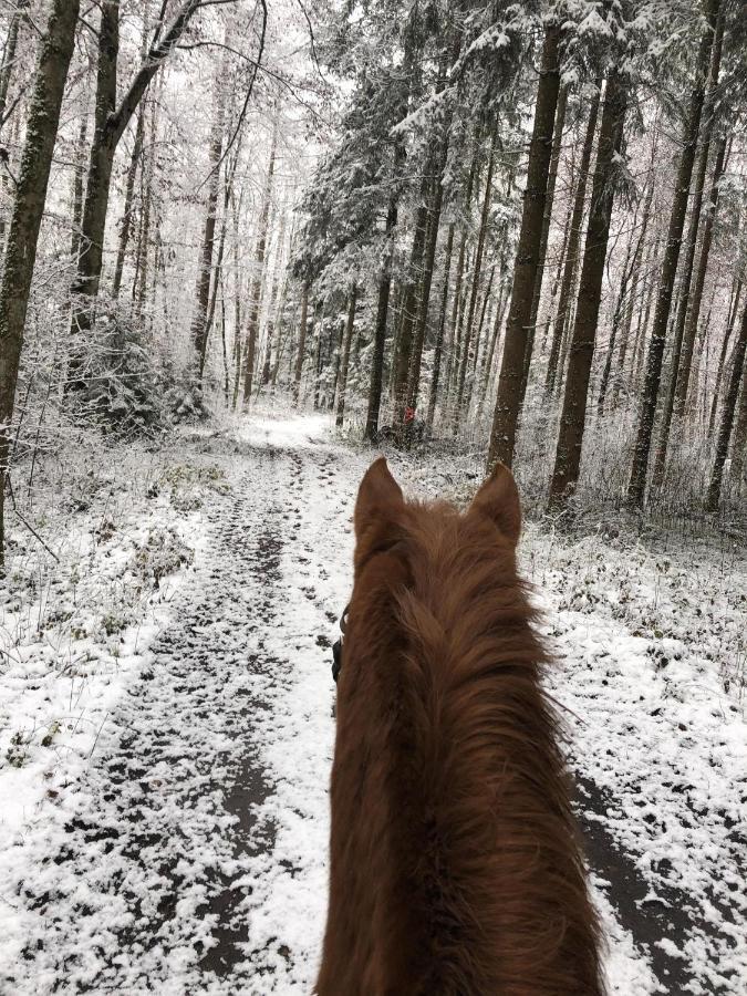 Ferienhof Weber Nieratz Wangen im Allgäu Exteriér fotografie